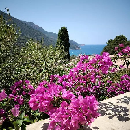 Double Terrasse Ombre Holiday home Porto (Corsica)