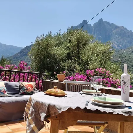 Holiday home Double Terrasse Ombre