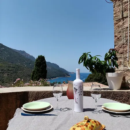 Double Terrasse Ombre Porto (Corsica)