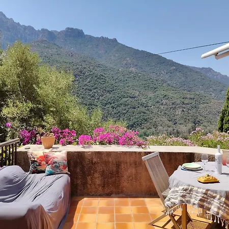Double Terrasse Ombre